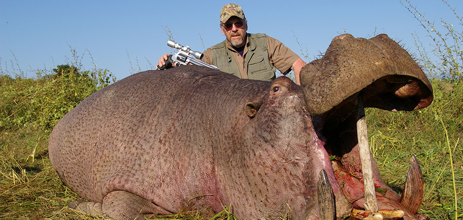 Hippo Hunting Safaris in Africa | Hunt Hippopotamus in Africa
